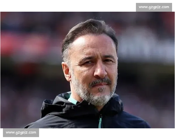 英足总开罚!狼队主帅佩雷拉因布莱顿一役失当被罚 1.5 万镑 英足总开罚!狼队主帅佩雷拉因布莱顿一役失当被罚 1.5 万镑